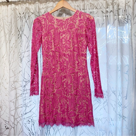 Dress The Population Cambria pink lace nude lining sheer long sleeve mini dress - Picture 3 of 9